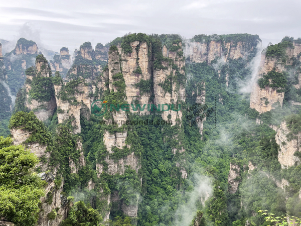 NEWINDU Team Outing to The Ancient Phoenix City