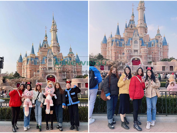 The NEWINDU's Carnival Trip to Disneyland Resort