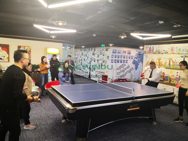 NEWINDU Table Tennis Game